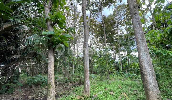 Land area in Pakis for warehouse/tourism