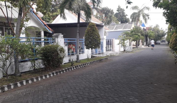 Disewakan Pandugo Rungkut 2