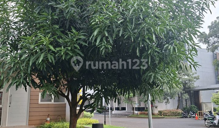 Hook House Front Guard Post Cluster 2