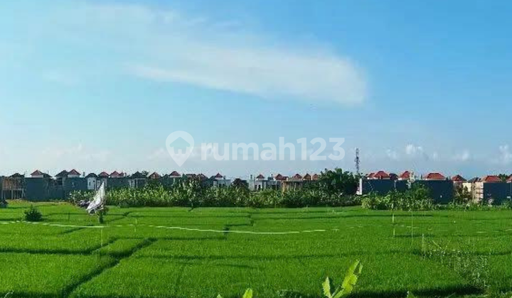 Dijual Cepat Rumah di Kesiman Timur 2