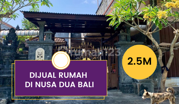 For Sale House for Sale Nusa Dua Area Near Nusa Dua Toll Gate For Sale House for Sale Nusa Dua Area Near Nusa Dua Toll Gate