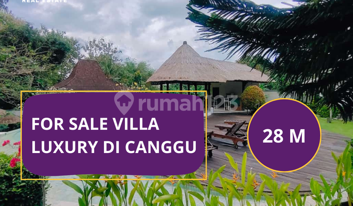 For Sale - Villa Luxury Siap Huni di Canggu For Sale - Villa Luxury Siap Huni di Canggu