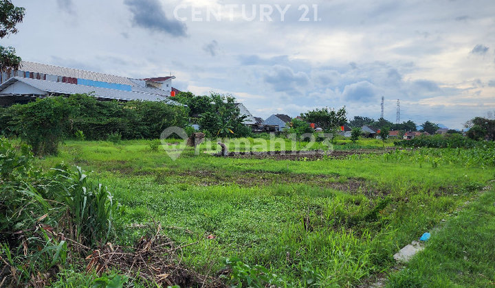 Tanah di Sumber,Area Tanah Industri, Cocok untuk Gudang Tanah di Sumber,Area Tanah Industri, Cocok untuk Gudang
