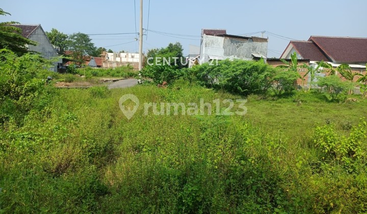 Tanah Kosong di Watubelah Sumber Cirebon Tanah Kosong di Watubelah Sumber Cirebon