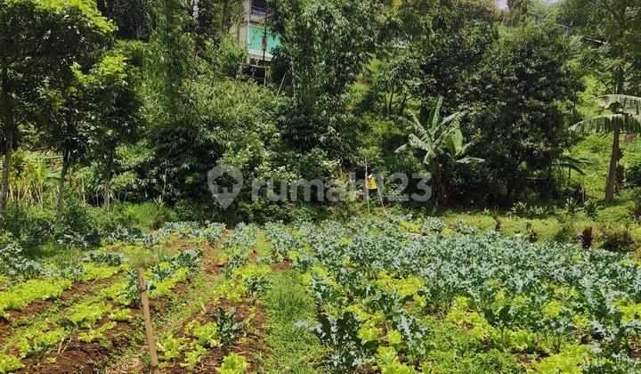 Land for Sale with SHM Certificate Suitable for Investment and Villa Construction in Lembang. First Come, First Served.