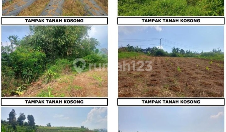 Tanah Murah untuk Perkebunan Luas 7,6 Hektar - Jonggol, Bogor Tanah Murah untuk Perkebunan Luas 7,6 Hektar - Jonggol, Bogor