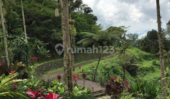 For Sale Residential Zone Resort on Jl Raya Pacung Tabanan Bali