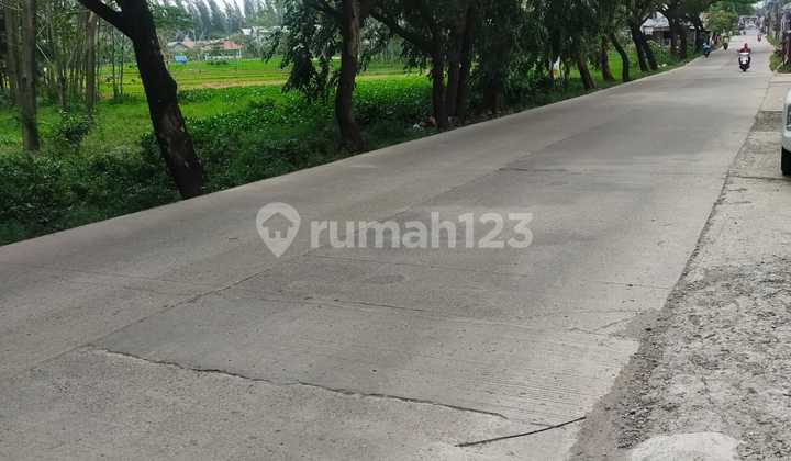 Tanah Zona Kuning bisa Kerjasama 8,6 Hektar di Cikarang Pusat Tanah Zona Kuning bisa Kerjasama 8,6 Hektar di Cikarang Pusat