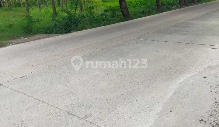 Tanah di Zona Kuning bisa Kerjasama 8,6 Hektar di Cikarang Pusat