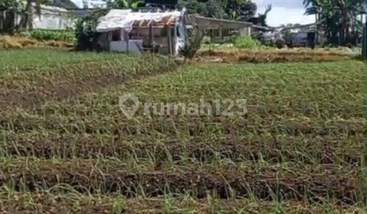 Land Plot Near Santo Yusup Sindanglaya, Cipanas.