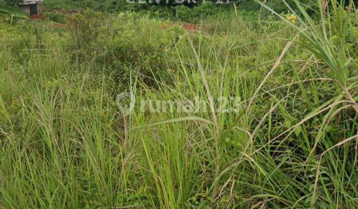 Tanah Kavling 2334 M2 di Cibinong Jawa Barat