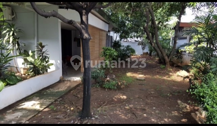 Jual Rumah Cempaka Putih Siap Huni Rapi Terawat Bebas Banjir. Lokasi Strategis Dekat Rumah Sakit Dan Jalan Utama. Akses Transportasi Mudah