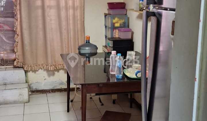 Jual Murah Kelapa Nias 8X17 Kelapa Gading SHM di Pegangsaan Rumah 2