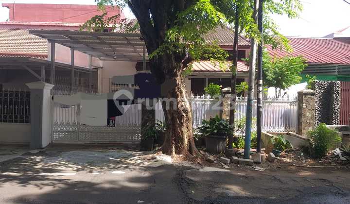 Rumah Kayu Putih Dijual Bebas Banjir Dekat Kelapa Gading Rumah Kayu Putih Dijual Bebas Banjir Dekat Kelapa Gading