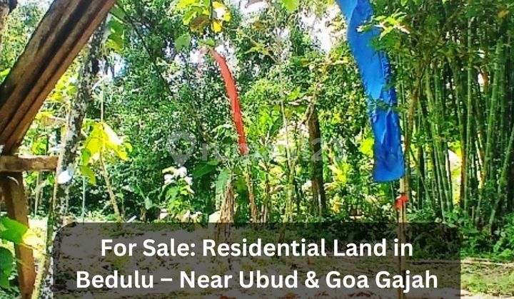 Dijual Cepat Tanah SHM 27 Are di Bedulu - Dekat Ubud & Goa Gajah