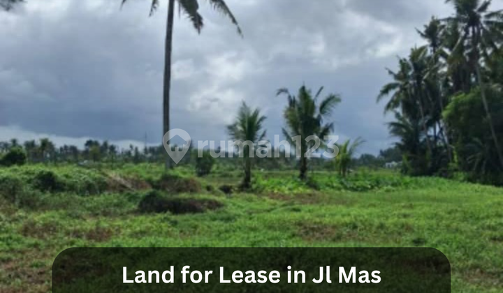 Disewakan Tanah 30 Are View Sawah, Jungle & Sungai di Jl Mas - Ubud