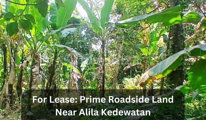 Strategic Land by the Road Near Alila Kedewatan - Ubud