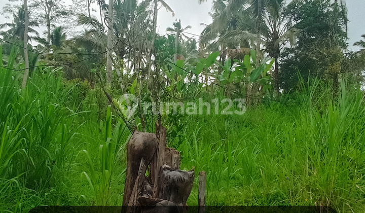 Tanah di Taro Valley Dekat ke Ubud