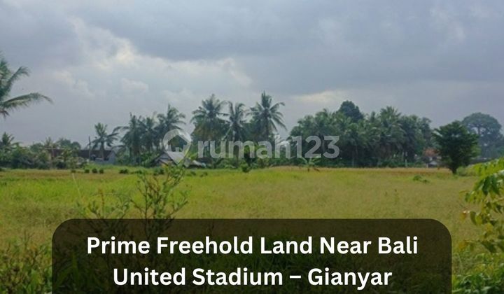 Dijual Tanah SHM 16,2 Are Dekat Stadion Bali United - Gianyar Dijual Tanah SHM 16,2 Are Dekat Stadion Bali United - Gianyar