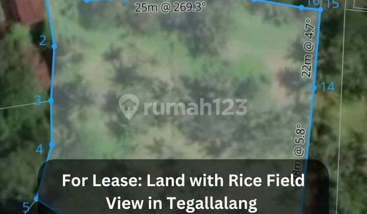Disewakan Tanah 48 Are View Sawah di Tegallalang - Ubud Disewakan Tanah 48 Are View Sawah di Tegallalang - Ubud