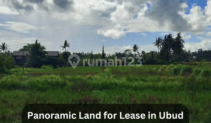 Disewakan Tanah 25 Are View Sawah, Sungai & Gunung di Mas - Ubud