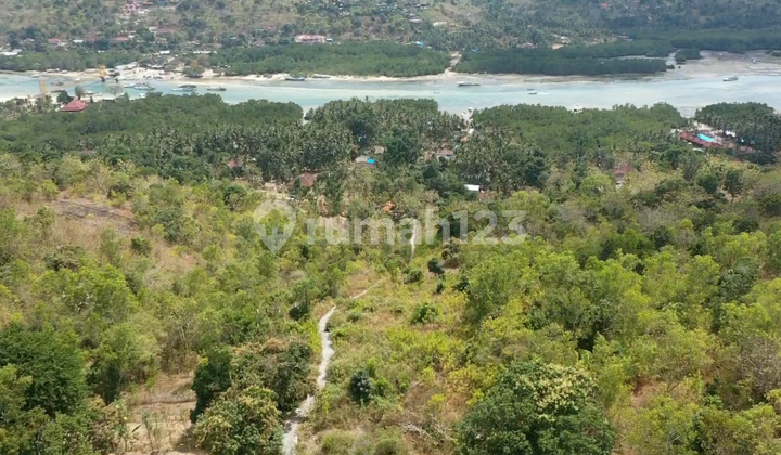 Investasi Tinggi di Nusa Penida, Klungkung. Investasi Tinggi di Nusa Penida, Klungkung.