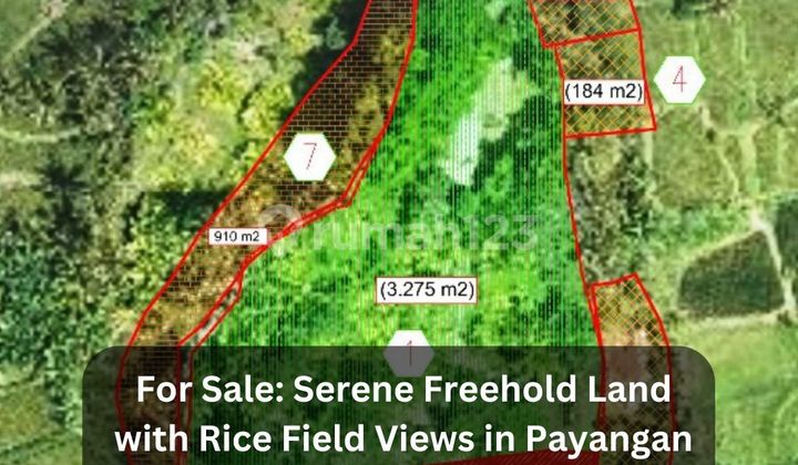 Serene Freehold Land With Rice Field Views - 86 Are In Payangan, Bali