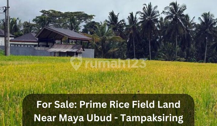 Dijual Tanah SHM 37 Are View Sawah Dekat Maya Ubud - Tampaksiring