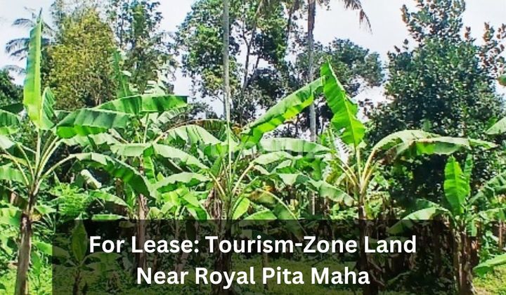 Tanah Zona Pariwisata Pinggir Jalan Utama Kedewatan - Ubud