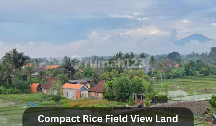 Dijual Tanah Kecil View Sawah di Ubud Dijual Tanah Kecil View Sawah di Ubud