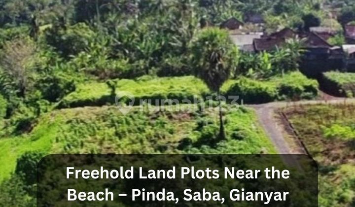 Dijual Tanah Kavling SHM Harga Terjangkau di Pinda - Saba, Gianyar Dijual Tanah Kavling SHM Harga Terjangkau di Pinda - Saba, Gianyar