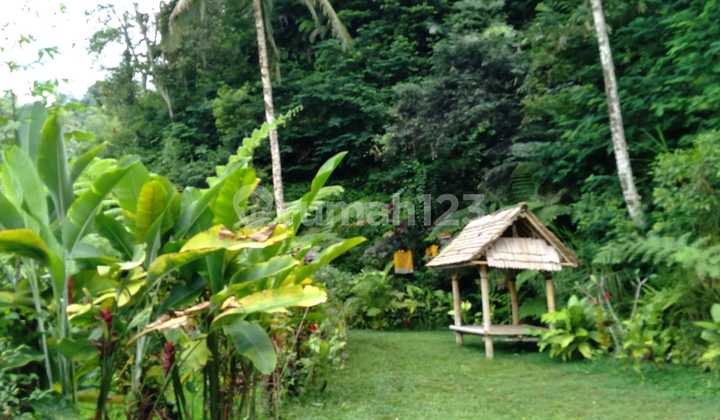 Kesempatan Terbatas Buat Anda Dapatkan Tanah Nyaman dengan Return Investasi Tinggi di Payangan, Gianyar. Kesempatan Terbatas Buat Anda Dapatkan Tanah Nyaman dengan Return Investasi Tinggi di Payangan, Gianyar.