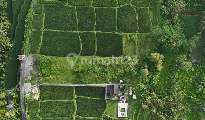 Limited Opportunity for You to Obtain Strategic Land with High Investment Returns in Tegallalang, Gianyar. Limited Opportunity for You to Obtain Strategic Land with High Investment Returns in Tegallalang, Gianyar.