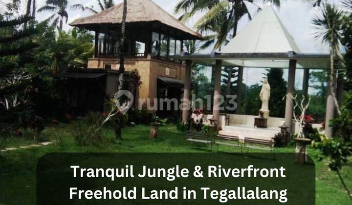 Dijual Villa Tidak Beroperasi - Hitung Tanah 4,36 Hektar View Jungle & Gunung Agung di Tegallalang Dijual Villa Tidak Beroperasi - Hitung Tanah 4,36 Hektar View Jungle & Gunung Agung di Tegallalang
