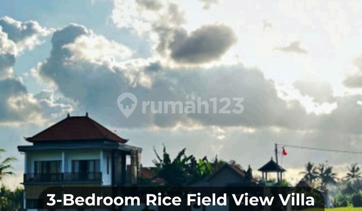 3-Bedroom Rice Field View Villa In Sayan, Ubud