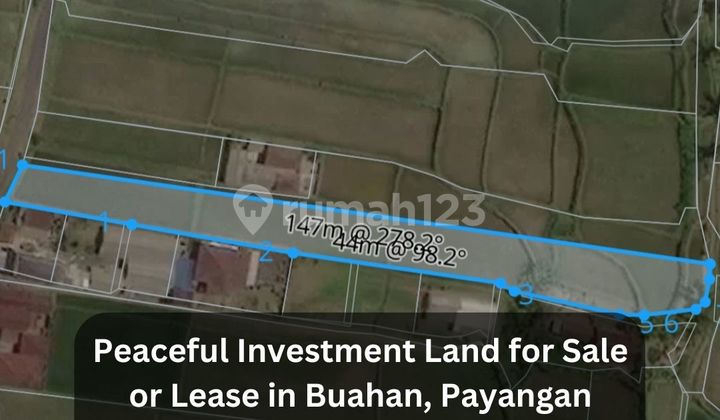Peaceful Investment Land For Sale Or Lease In Buahan, Payangan Peaceful Investment Land For Sale Or Lease In Buahan, Payangan