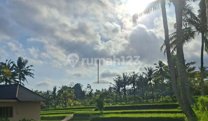 Strategic Land for Rent in Suweta Ubud - Near the Center Strategic Land for Rent in Suweta Ubud - Near the Center