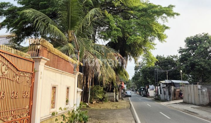 Beautiful House Wide Yard Wide Road Total Veteran Fruit Bintaro 2