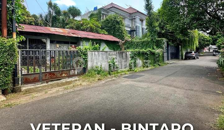 Tanah Dijual Lebar 18 X 25 Veteran Jaksel Tanah Dijual Lebar 18 X 25 Veteran Jaksel