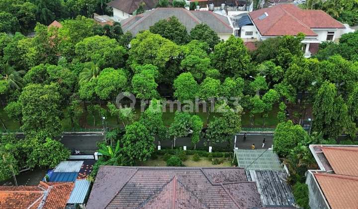Rumah Bangunan 1 Lantai Hunian Asri Dekat Senayan
