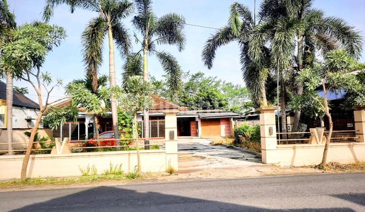 Bonus Land House, Beside the Main Highway