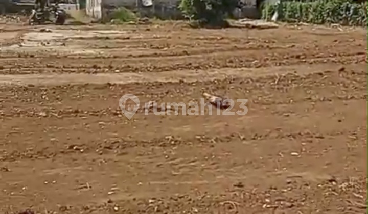 Wide and Affordable Land in Bendosewu Talun Wide and Affordable Land in Bendosewu Talun