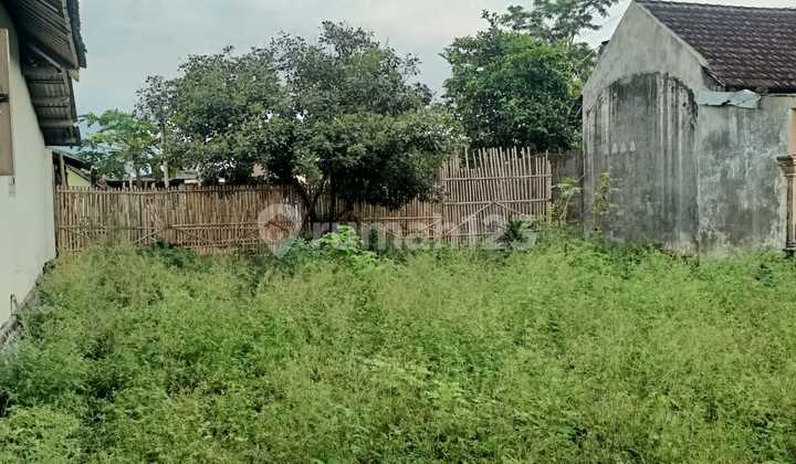 Cheap Land in Kendalrejo, Talun Cheap Land in Kendalrejo, Talun