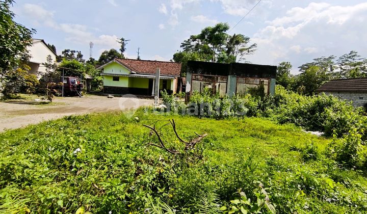 Tanah Luas Pinggir Jalan Aspal Dekat Pasar Manggis