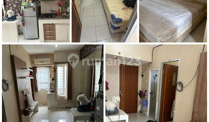 For Sale Apartment Puncak Kertajaya Tower A 8th Floor - Fully Furnished 1