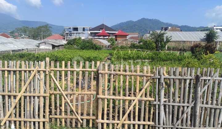 For Sale Land in Batu City, Malang, Ready to Build For Sale Land in Batu City, Malang, Ready to Build