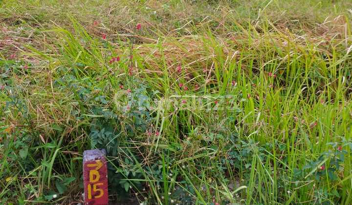 Sell Ready-to-Live Land in Domas Menganti, Gresik