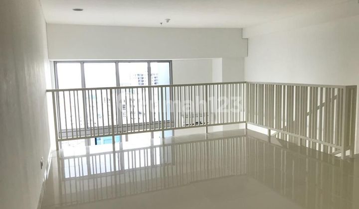 For Rent Apartment Neo Soho Residence Hampton Type