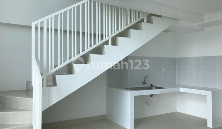 For Rent Neo Soho Residence Apartment Aveneue Type