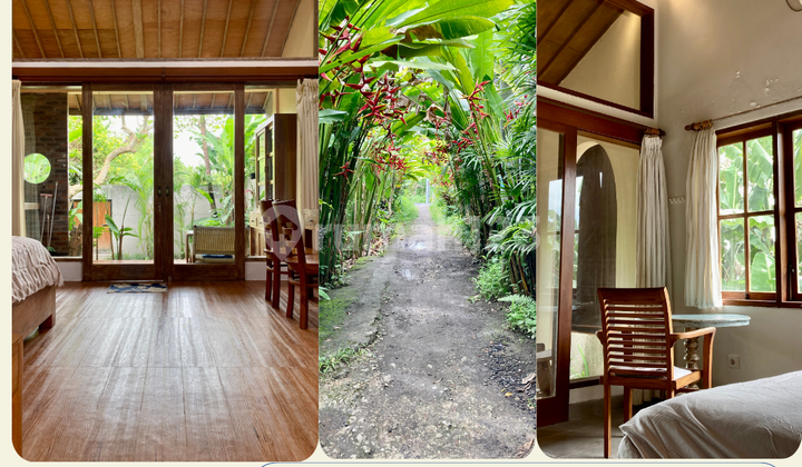 Boutique Property 3 Studios In Ubud Prime Location House/Guesthouse In Rice Paddy, 800M From Raya Ubud Boutique Property 3 Studios In Ubud Prime Location House/Guesthouse In Rice Paddy, 800M From Raya Ubud